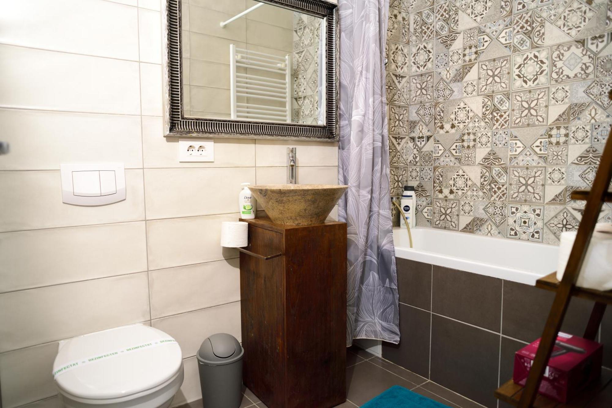 Mirvana Apartments Metheor Executive Suite Timisoara Ngoại thất bức ảnh