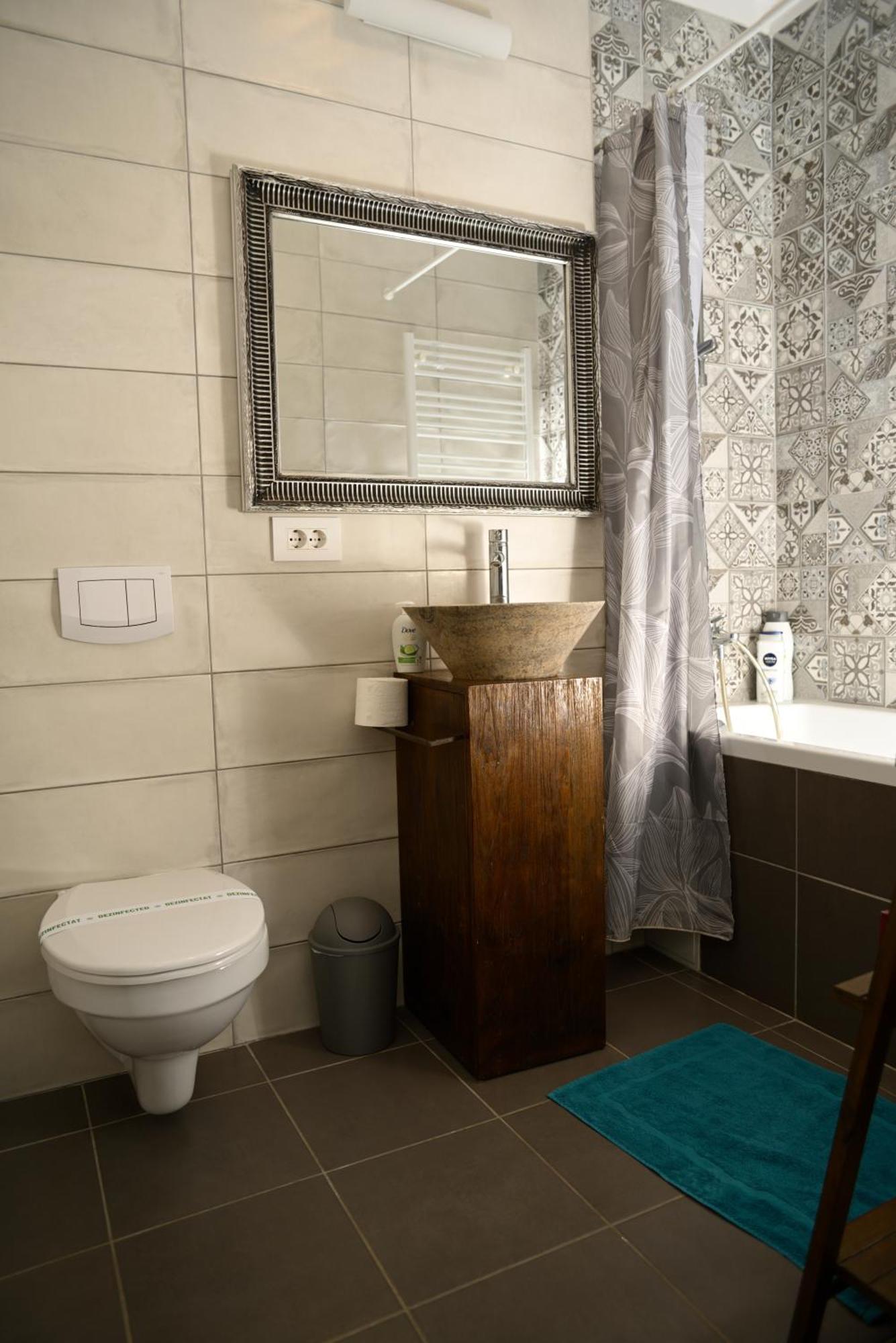 Mirvana Apartments Metheor Executive Suite Timisoara Ngoại thất bức ảnh